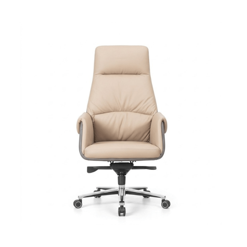 Premium Cushion Stylish Office Chair for Executives