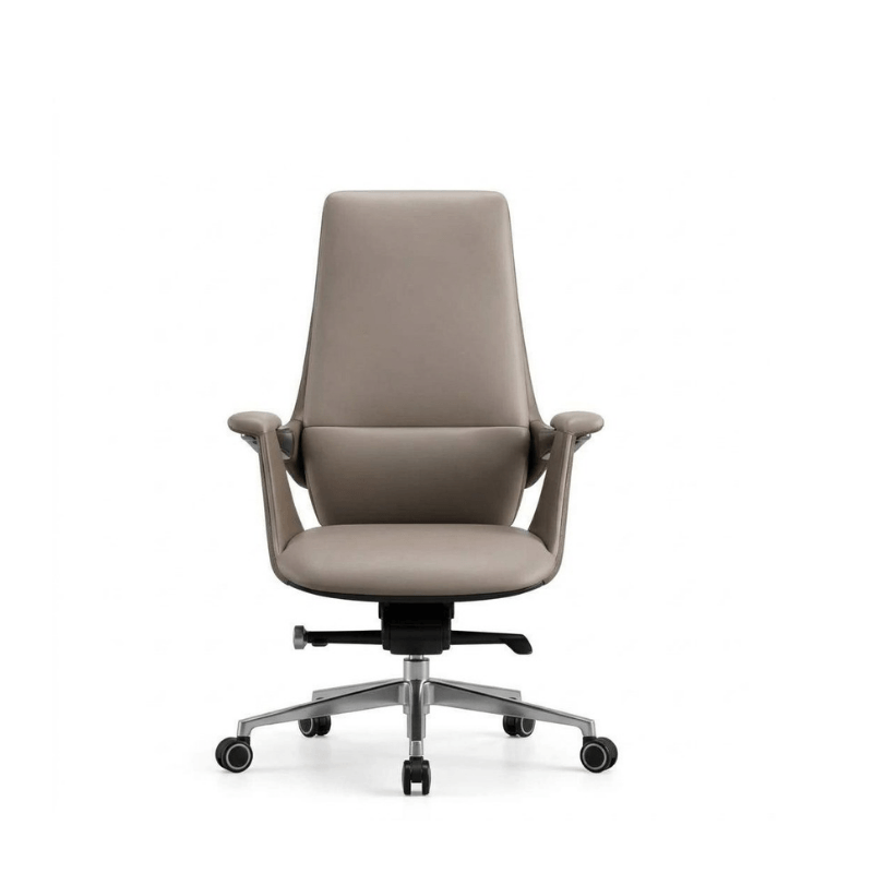 DUCSON Luxury Medium Back Office Chair