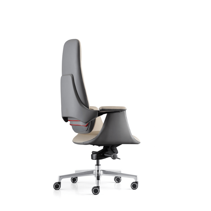 DUCSON Luxury High Back Office Chair
