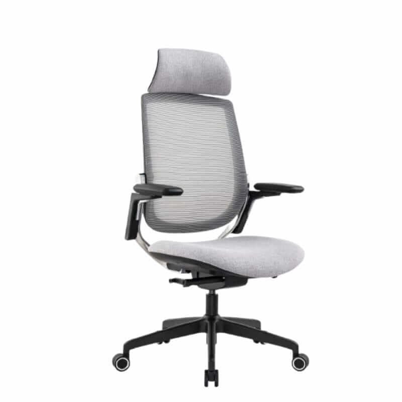 ErgoMesh Executive Chair for Office